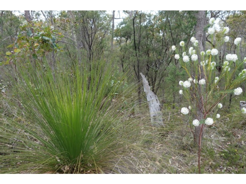 Lot 28 Shallows Loop, Yallingup WA 6282