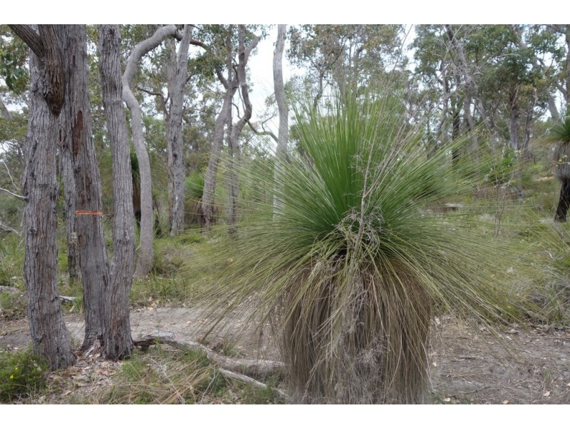 Lot 28 Shallows Loop, Yallingup WA 6282