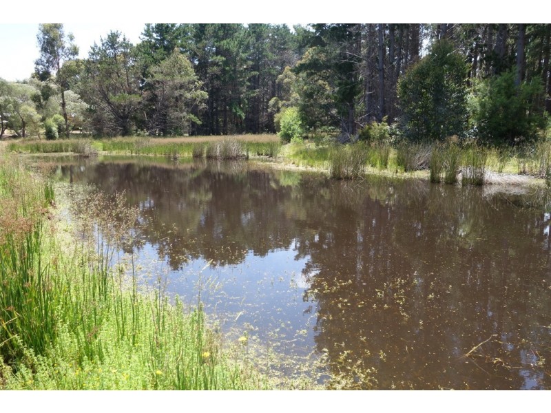 Lot 4070 Brockman Highway, Karridale WA 6288
