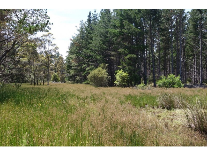 Lot 4070 Brockman Highway, Karridale WA 6288