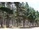 Lot 4070 Brockman Highway, Karridale WA 6288