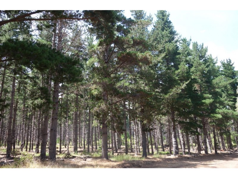 Lot 4070 Brockman Highway, Karridale WA 6288