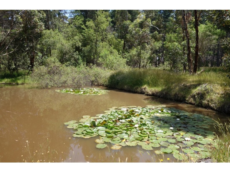 Lot 4070 Brockman Highway, Karridale WA 6288