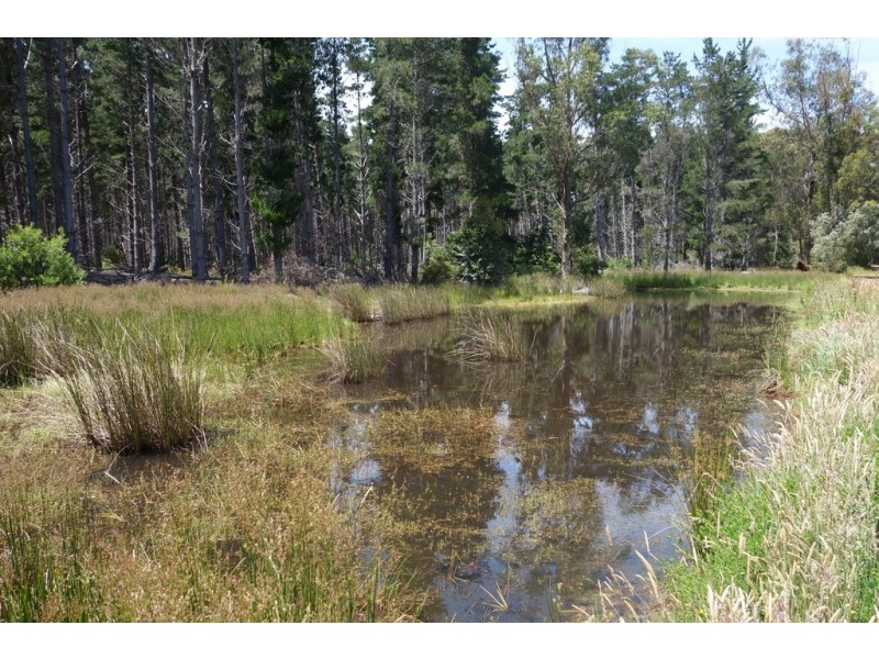 Lot 4070 Brockman Highway, Karridale WA 6288