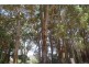 Lot 4070 Brockman Highway, Karridale WA 6288