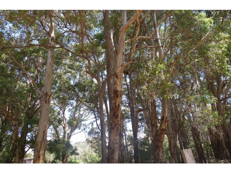Lot 4070 Brockman Highway, Karridale WA 6288