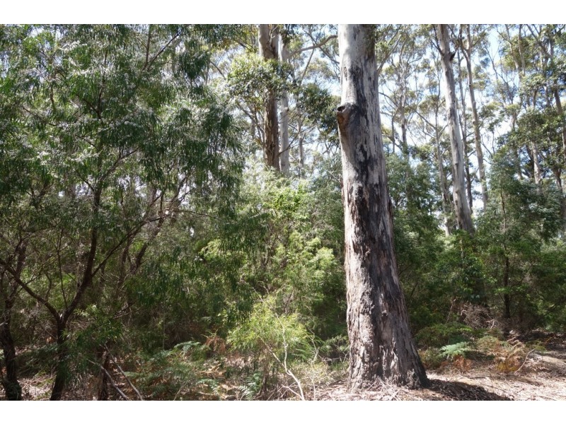 Lot 4070 Brockman Highway, Karridale WA 6288