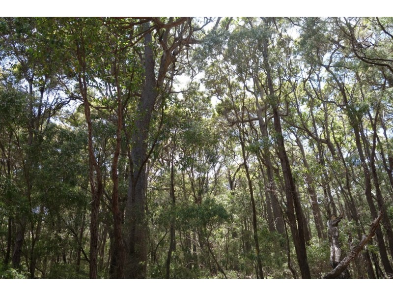 Lot 4070 Brockman Highway, Karridale WA 6288