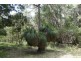 Lot 4070 Brockman Highway, Karridale WA 6288