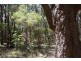 Lot 4070 Brockman Highway, Karridale WA 6288