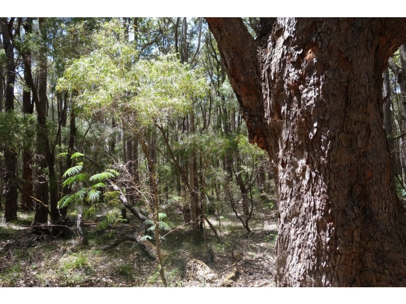 Lot 4070 Brockman Highway, Karridale WA 6288