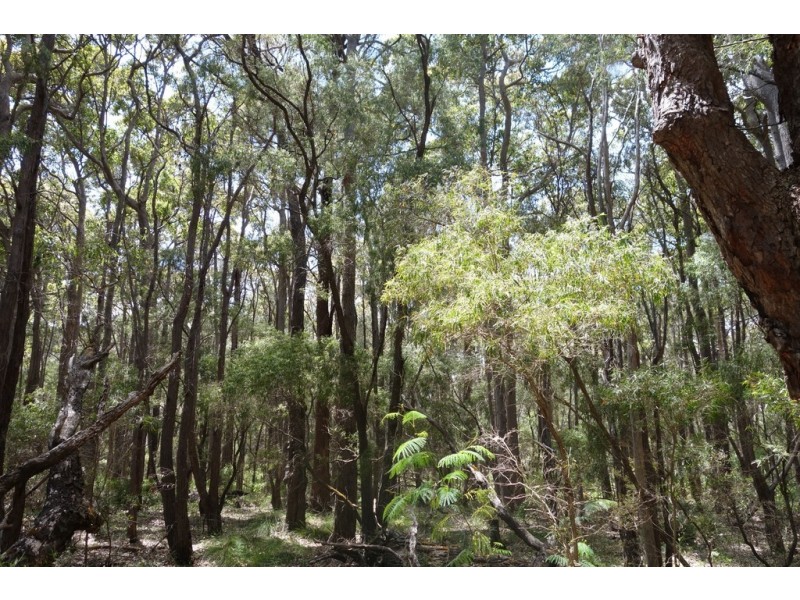 Lot 4070 Brockman Highway, Karridale WA 6288