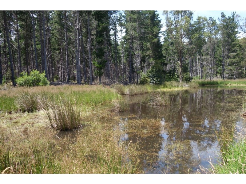 Lot 4070 Brockman Highway, Karridale WA 6288
