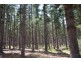 Lot 4070 Brockman Highway, Karridale WA 6288