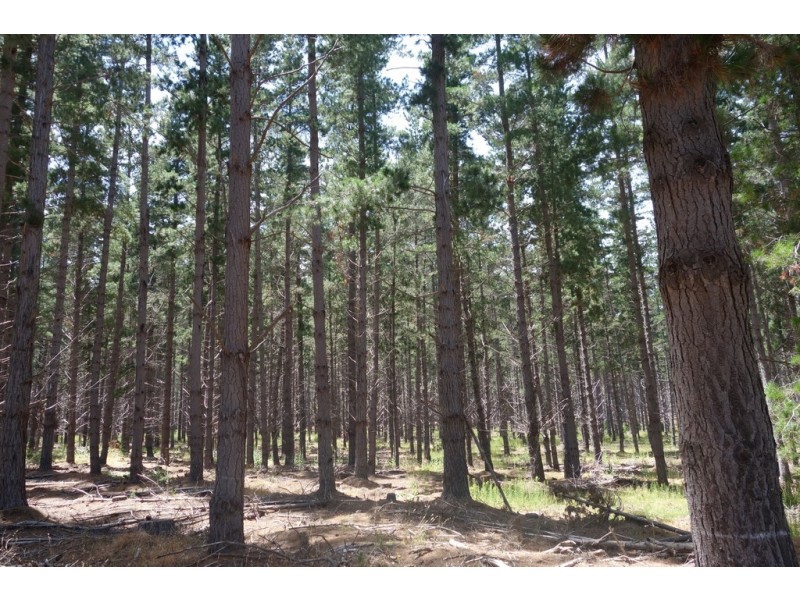 Lot 4070 Brockman Highway, Karridale WA 6288
