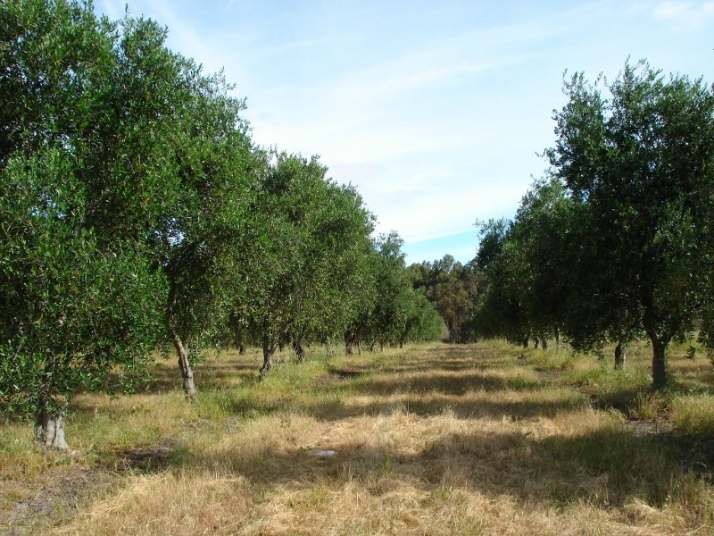 363 Rendezvous Road, Vasse WA 6280