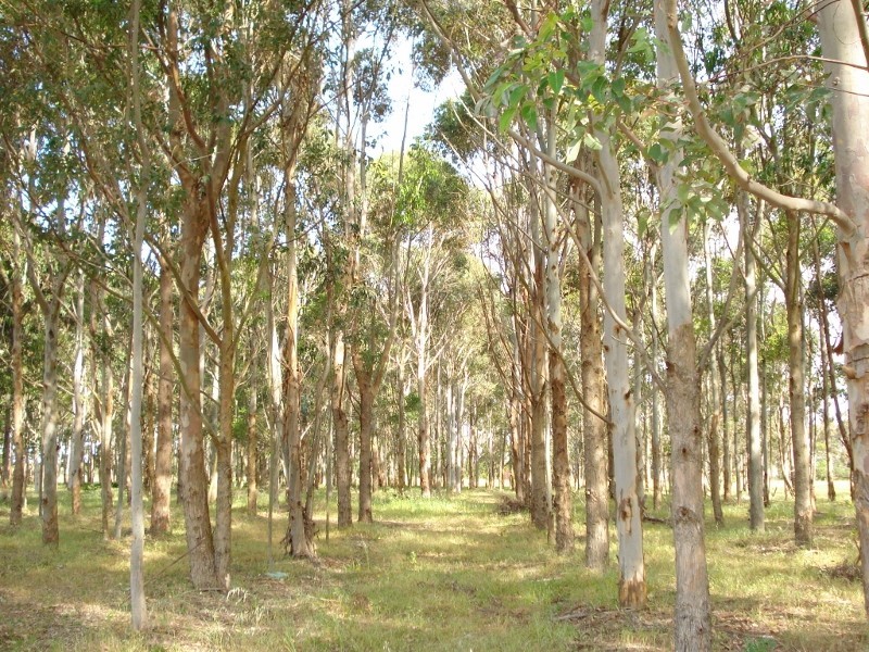 363 Rendezvous Road, Vasse WA 6280