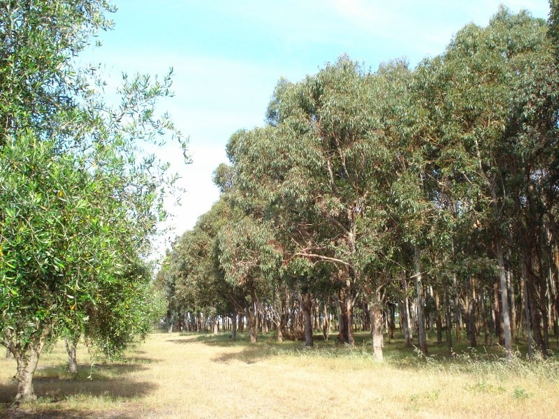 363 Rendezvous Road, Vasse WA 6280