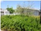 20 Lloyd Loop, Margaret River WA 6285