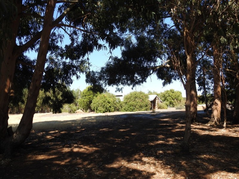 404 Sebbes Road, Forest Grove WA 6286