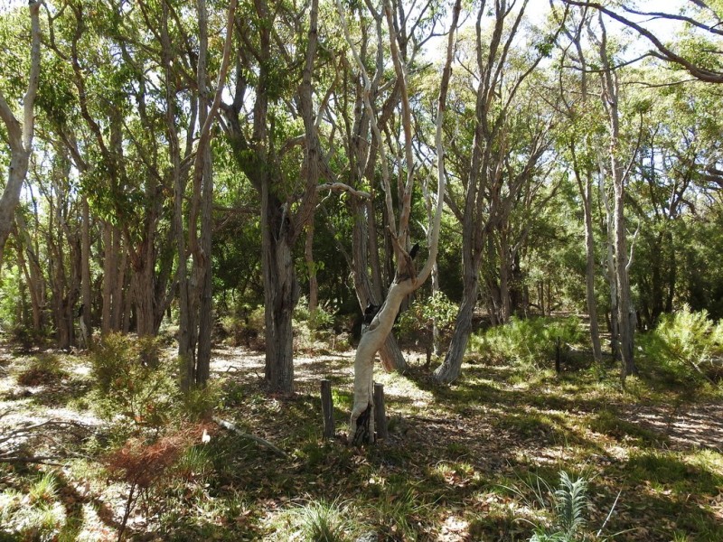 404 Sebbes Road, Forest Grove WA 6286