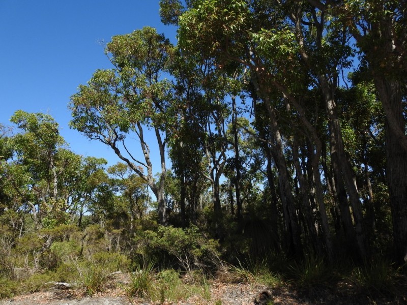 404 Sebbes Road, Forest Grove WA 6286