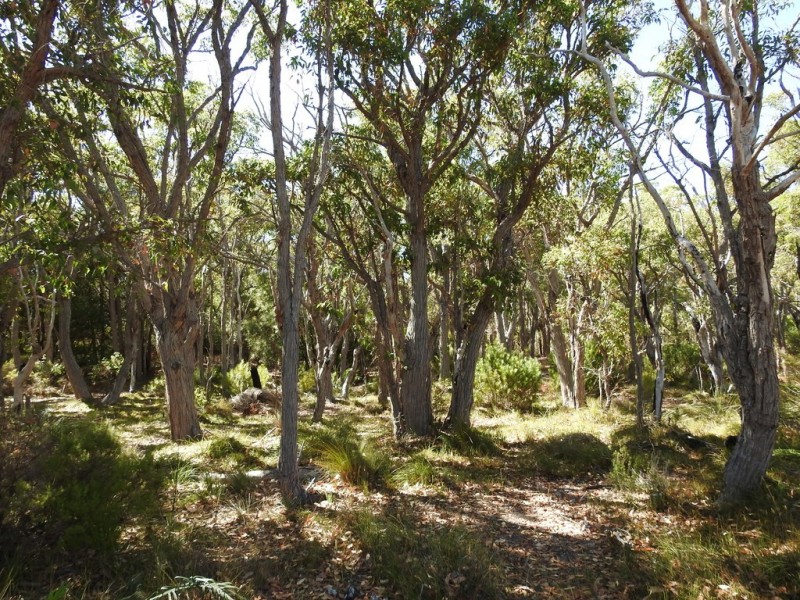 404 Sebbes Road, Forest Grove WA 6286