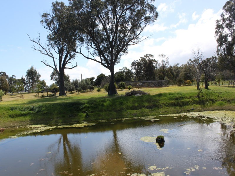 46 Rushleigh Road, Reinscourt WA 6280