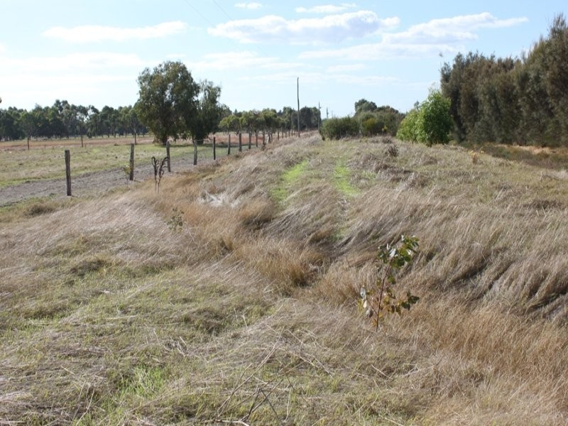 21 Myrtle Vale, Yoongarillup WA 6280