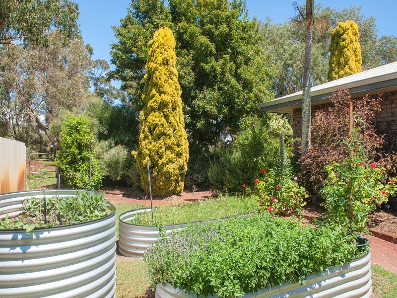 6 Coolilup Road, Ludlow WA 6280