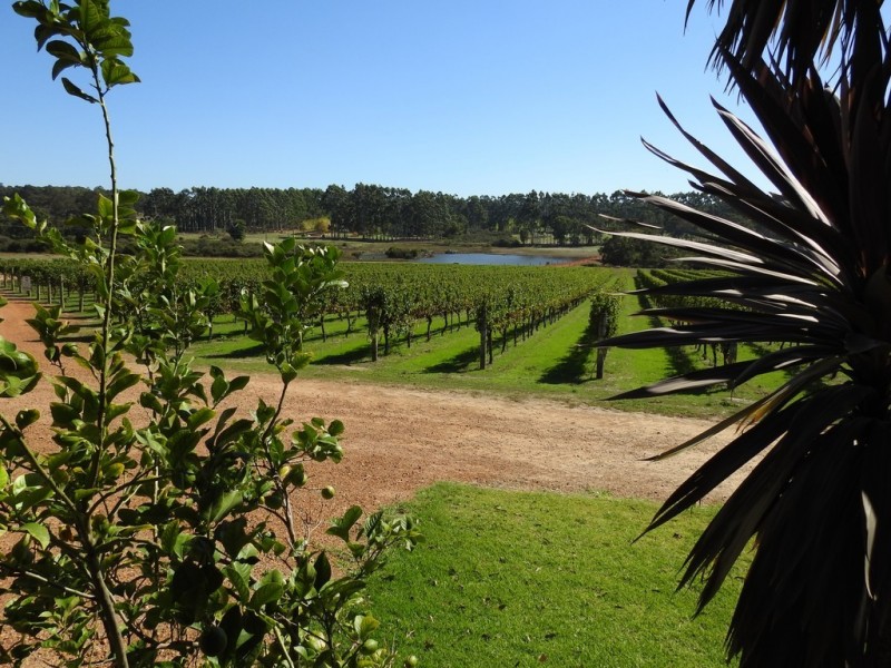 430 Treeton Road, Treeton WA 6284