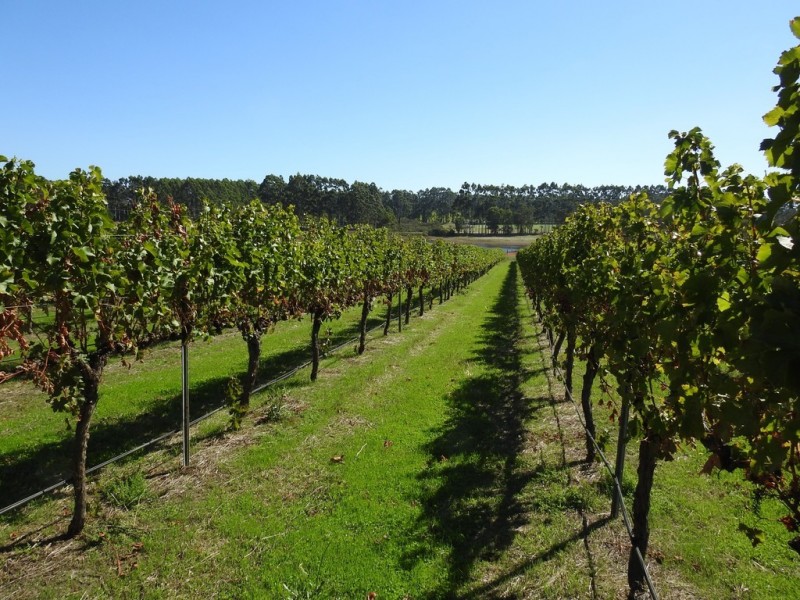 430 Treeton Road, Treeton WA 6284