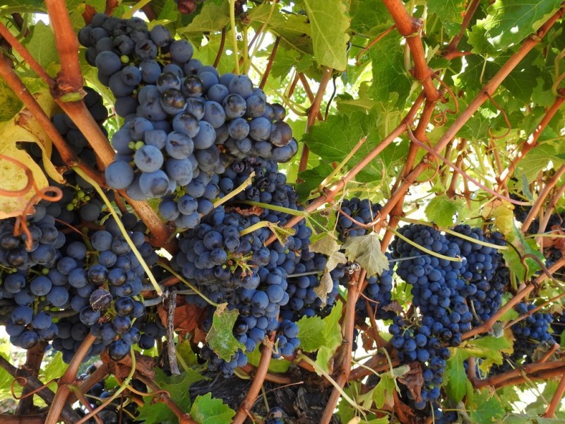 430 Treeton Road, Treeton WA 6284