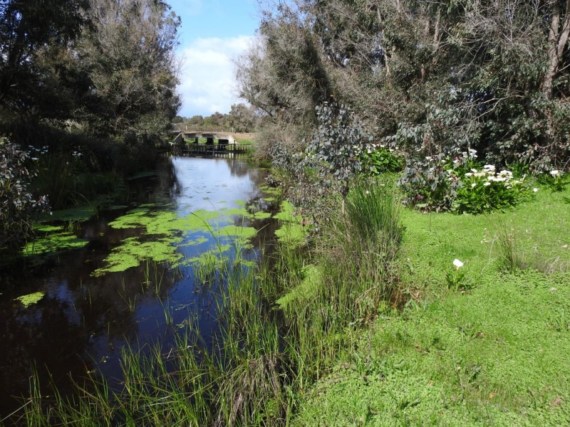 Lot 102 Ludlow-Hithergreen Road, Ludlow WA 6280