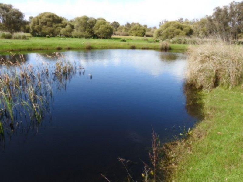 Lot 102 Ludlow-Hithergreen Road, Ludlow WA 6280