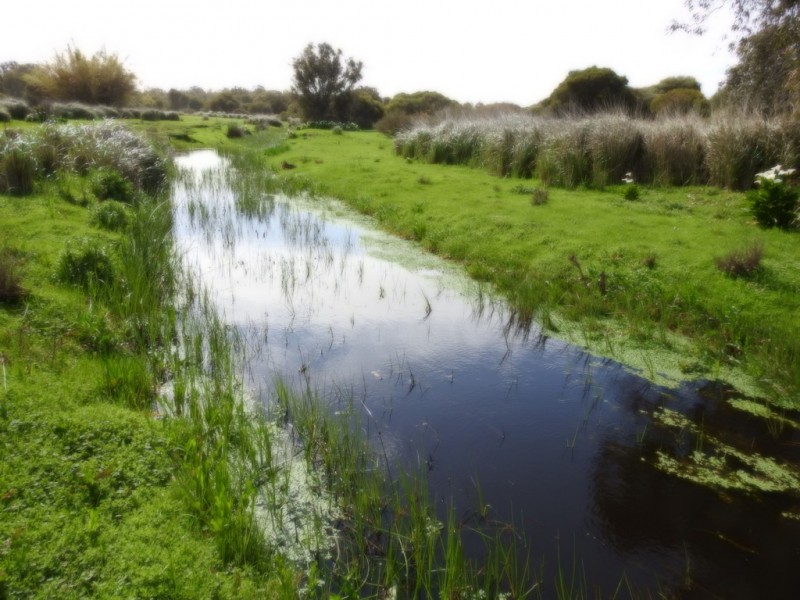 Lot 102 Ludlow-Hithergreen Road, Ludlow WA 6280