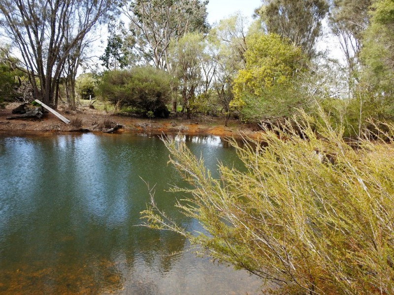 Lot 102 Ludlow-Hithergreen Road, Ludlow WA 6280