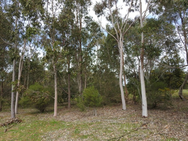 Lot 102 Ludlow-Hithergreen Road, Ludlow WA 6280