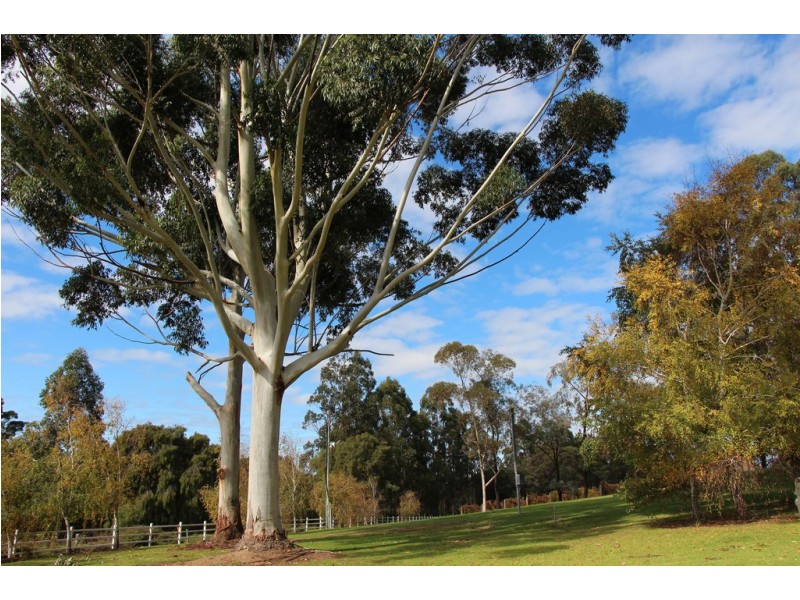 115 Bridgelands Road, Rosa Glen WA 6285