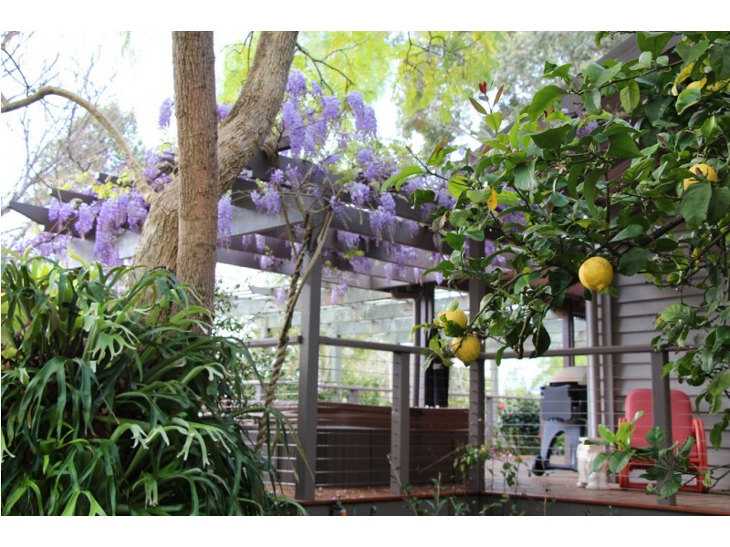 115 Bridgelands Road, Rosa Glen WA 6285