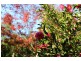 115 Bridgelands Road, Rosa Glen WA 6285