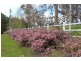 115 Bridgelands Road, Rosa Glen WA 6285