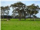 Lot 3 Bussell Highway, Cowaramup WA 6284