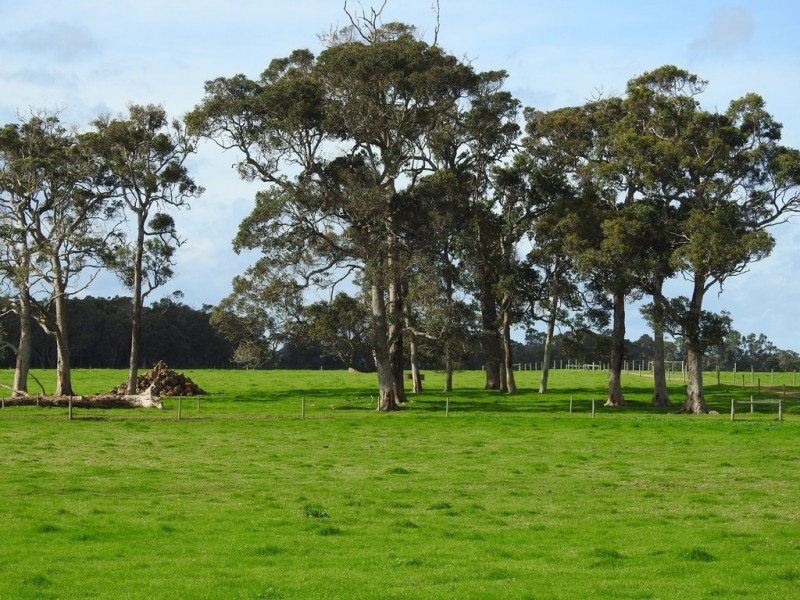 Lot 3 Bussell Highway, Cowaramup WA 6284