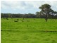 Lot 3 Bussell Highway, Cowaramup WA 6284