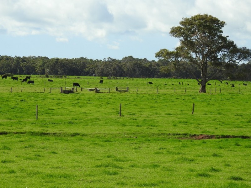 Lot 3 Bussell Highway, Cowaramup WA 6284