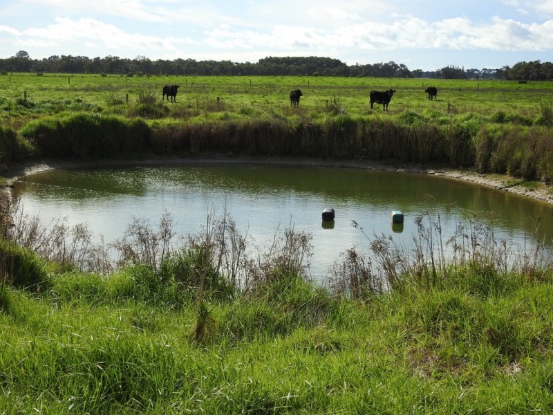 Lot 3 Bussell Highway, Cowaramup WA 6284