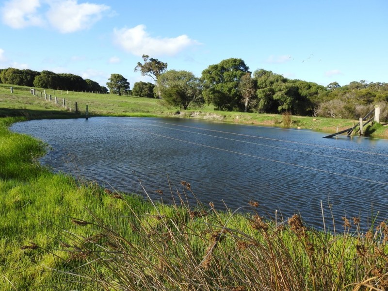 Lot 2 Kudardup Road, Kudardup WA 6290