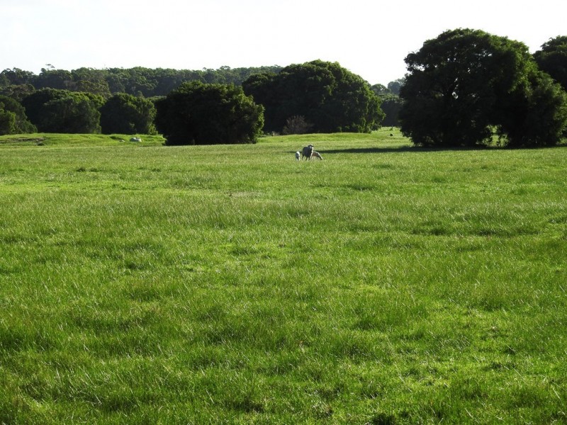 Lot 2 Kudardup Road, Kudardup WA 6290