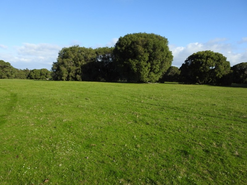 Lot 2 Kudardup Road, Kudardup WA 6290